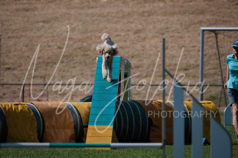 26061800