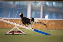 25045631-2