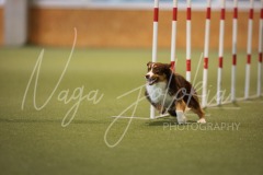 25045718-2