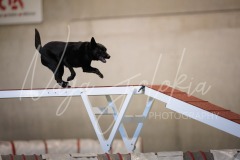 25040087-2
