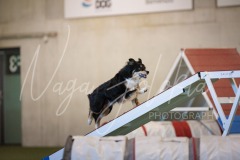 25041450-2