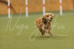 25042014