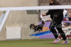 25041488