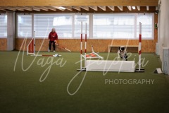 25047199