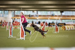 25047316-2