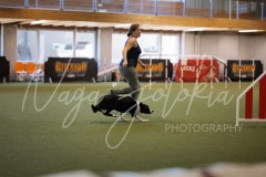 25047877