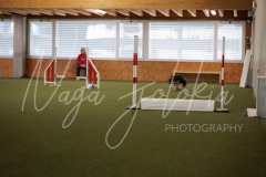 25046318