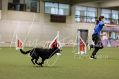 25049965