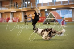 25045164-2