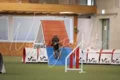 25043924-2