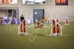 25042430-2