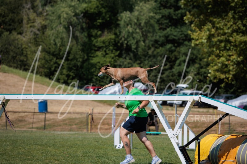 26063292