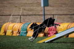 27.06.2026_Agility_Large 1