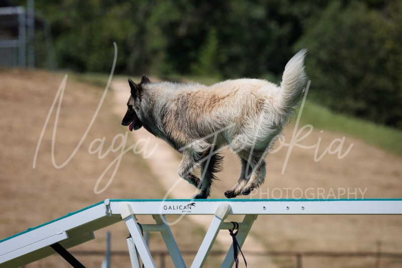 26064681
