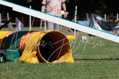 27.06.2026_Agility_Large 3_Part.1