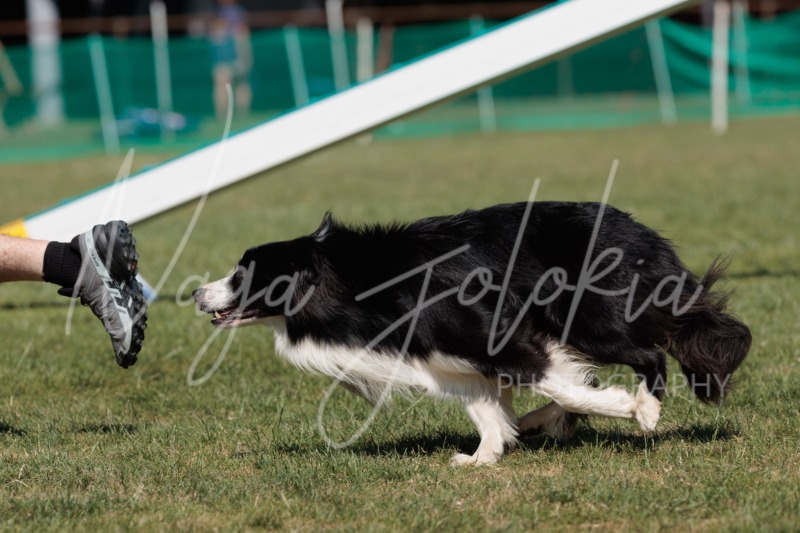 26060837-2