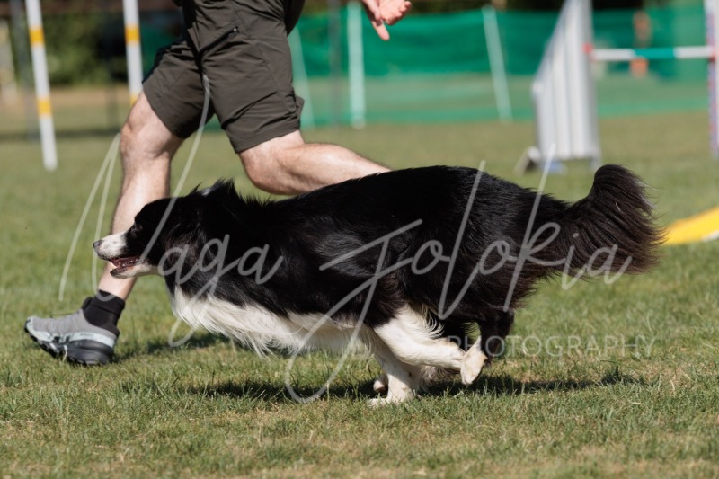 26060841-2