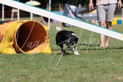 27.06.2026_Agility_Large 3_Part.2