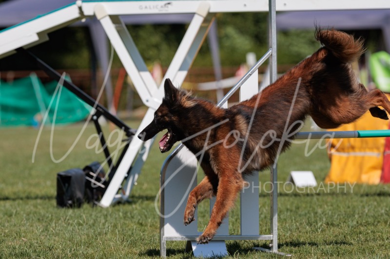 26061487-2