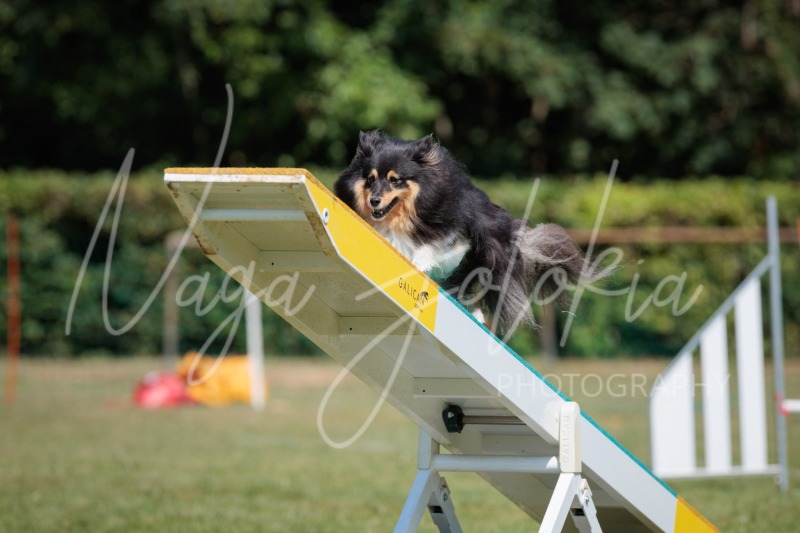 26063920