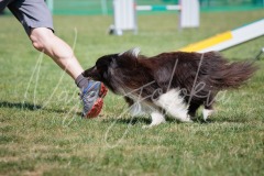 27.06.2026_Agility_Medium 3