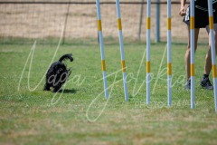 27.06.2026_Agility_Small 1