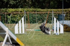 27.06.2026_Agility_Small 2