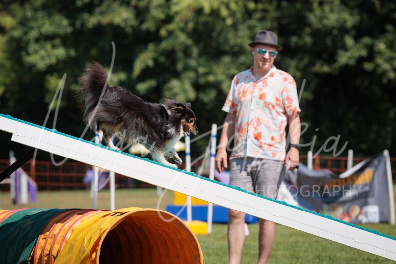 26060003-2