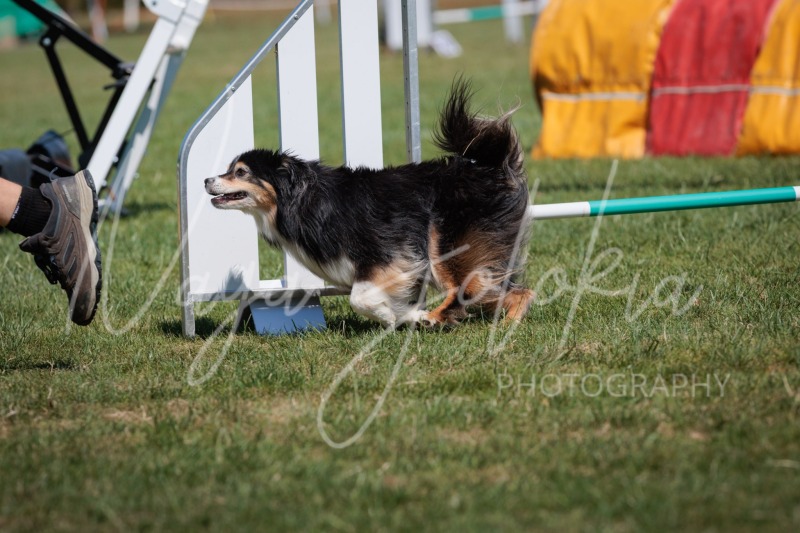 26060245-2
