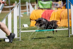 27.06.2026_Agility_Small 3