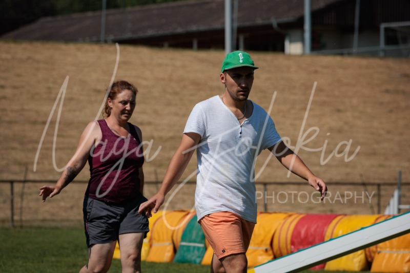 26062291