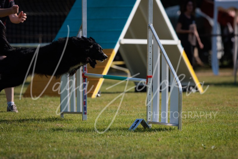26060242