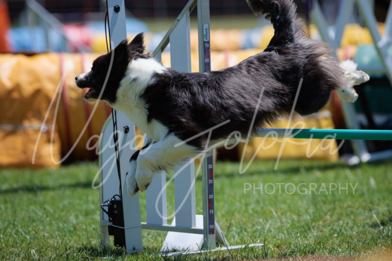 26066072