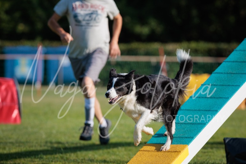 26069668