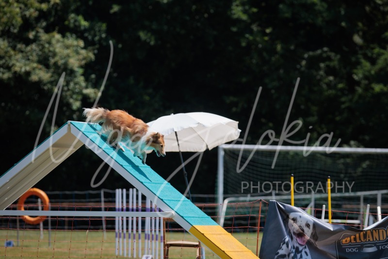 26066164