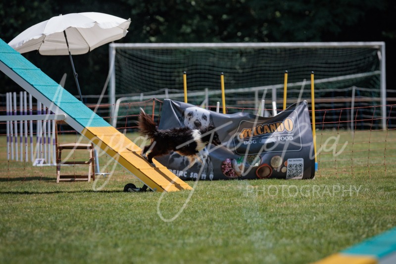 26066647